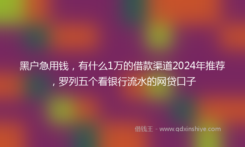 黑户急用钱，有什么1万的借款渠道2024年推荐，罗列五个看银行流水的网贷口子