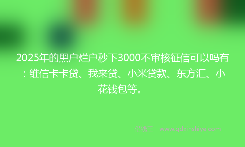 2025年的黑户烂户秒下3000不审核征信可以吗有：维信卡卡贷、我来贷、小米贷款、东方汇、小花钱包等。