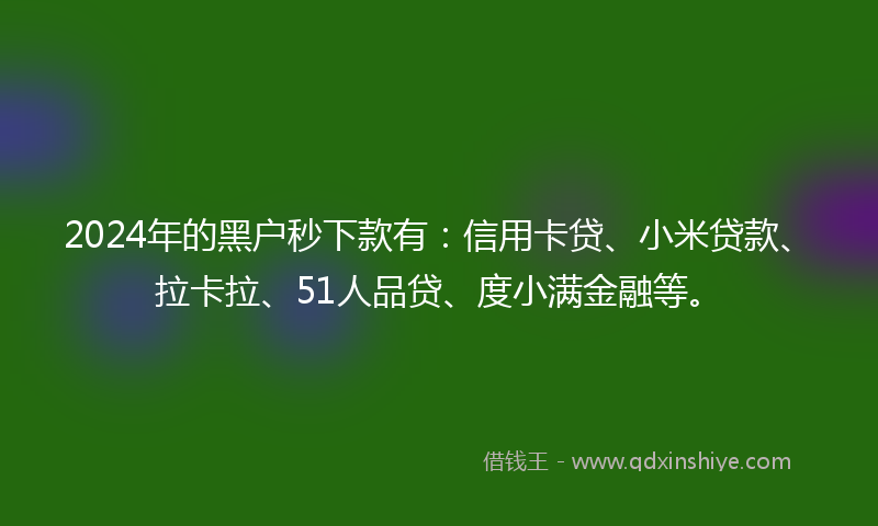 2024年的黑户秒下款有：信用卡贷、小米贷款、拉卡拉、51人品贷、度小满金融等。
