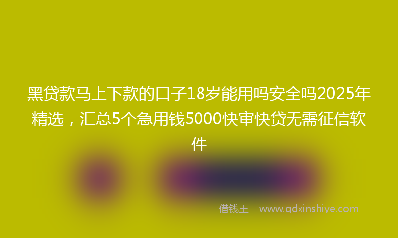 黑贷款马上下款的口子18岁能用吗安全吗2025年精选，汇总5个急用钱5000快审快贷无需征信软件