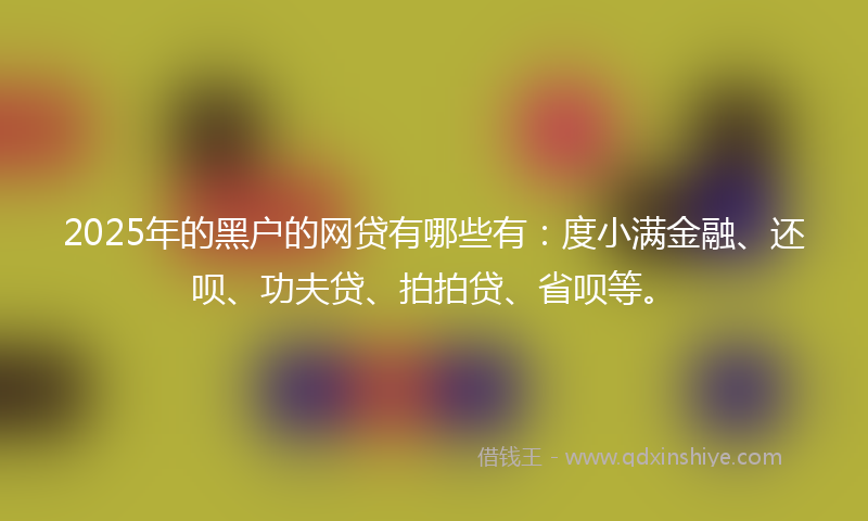 2025年的黑户的网贷有哪些有：度小满金融、还呗、功夫贷、拍拍贷、省呗等。