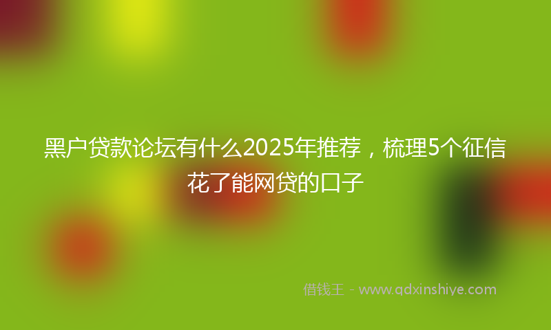 黑户贷款论坛有什么2025年推荐，梳理5个征信花了能网贷的口子