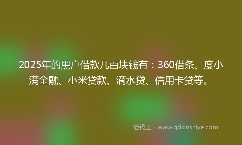 2025年的黑户借款几百块钱有：360借条、度小满金融、小米贷款、滴水贷、信用卡贷等。