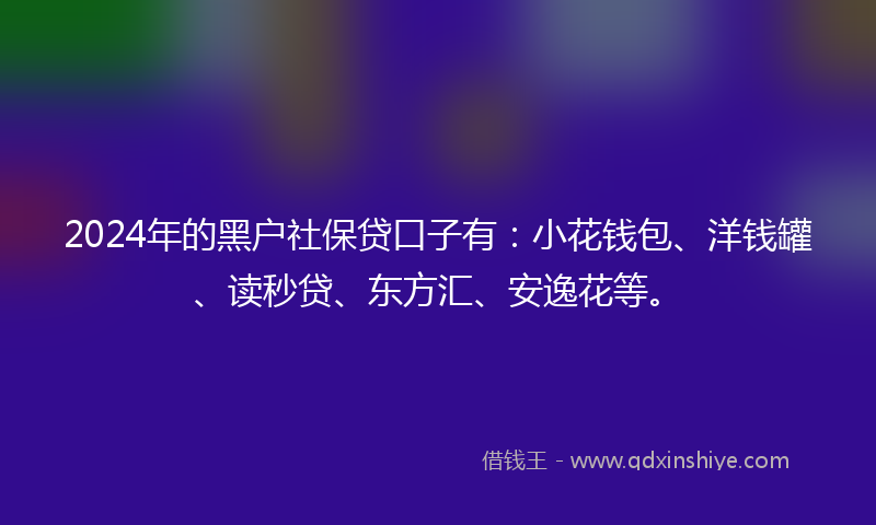 2024年的黑户社保贷口子有：小花钱包、洋钱罐、读秒贷、东方汇、安逸花等。