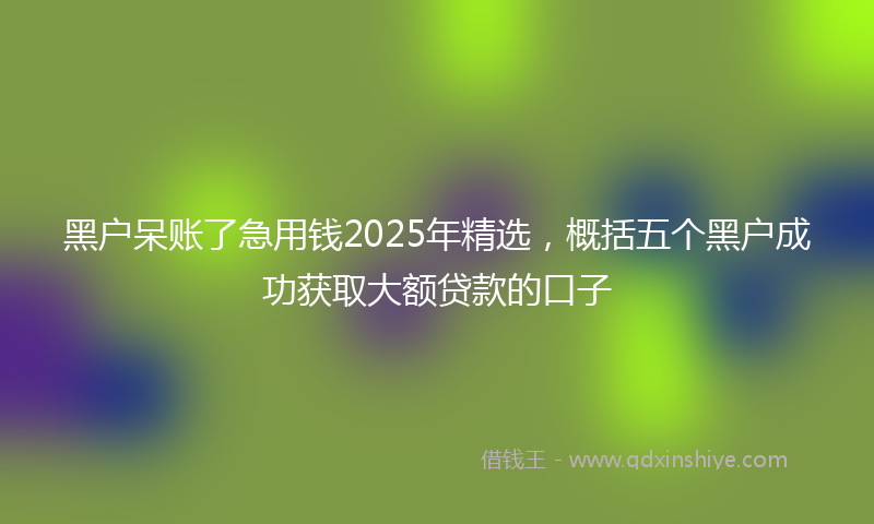 黑户呆账了急用钱2025年精选，概括五个黑户成功获取大额贷款的口子
