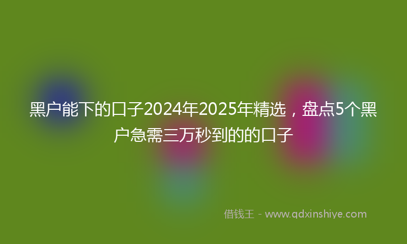 黑户能下的口子2024年2025年精选，盘点5个黑户急需三万秒到的的口子