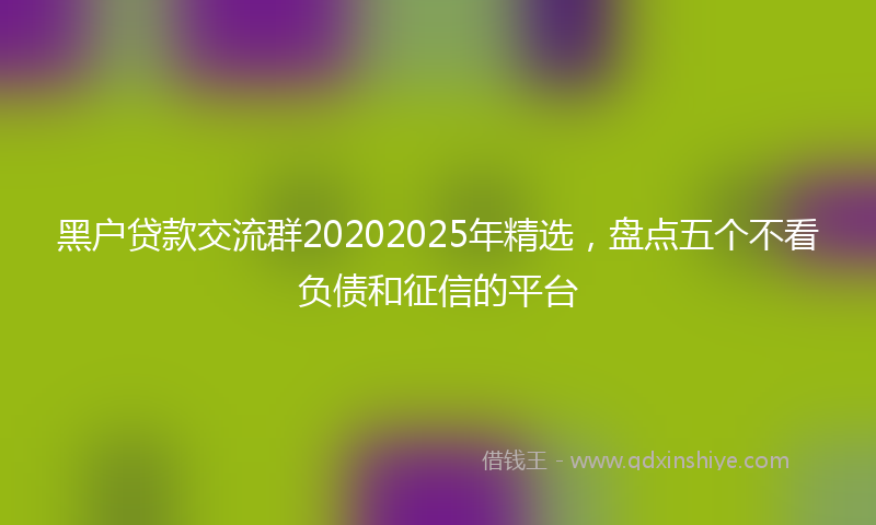 黑户贷款交流群20202025年精选，盘点五个不看负债和征信的平台