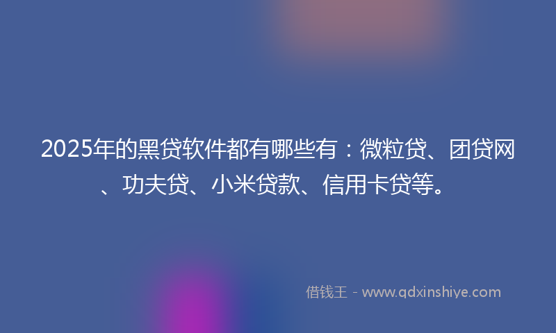 2025年的黑贷软件都有哪些有：微粒贷、团贷网、功夫贷、小米贷款、信用卡贷等。