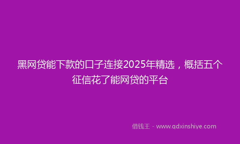 黑网贷能下款的口子连接2025年精选，概括五个征信花了能网贷的平台
