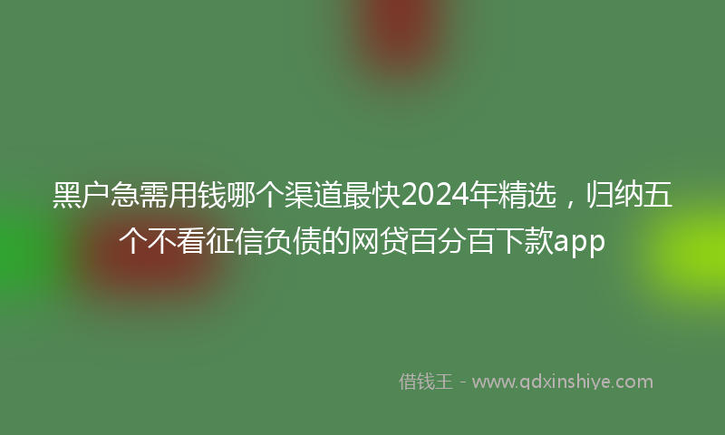 黑户急需用钱哪个渠道最快2024年精选,归纳五个不看征信负债的网贷百分百下款app