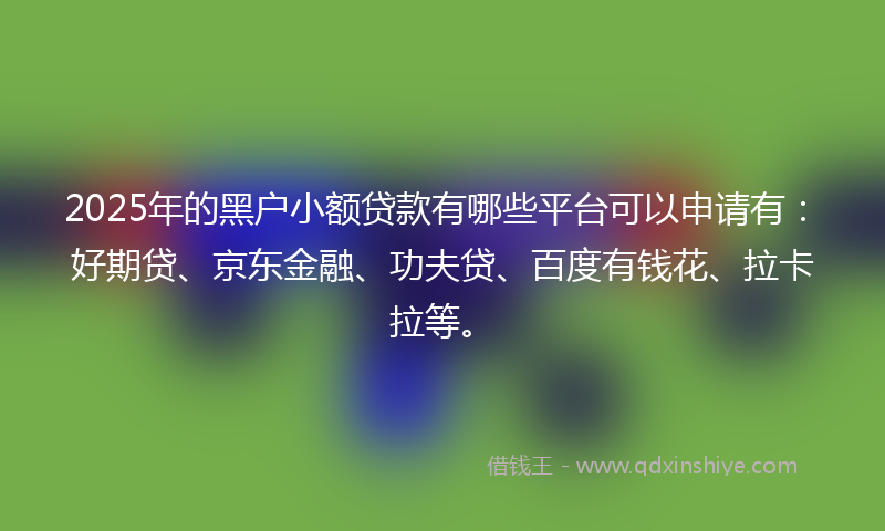 2025年的黑户小额贷款有哪些平台可以申请有：好期贷、京东金融、功夫贷、百度有钱花、拉卡拉等。