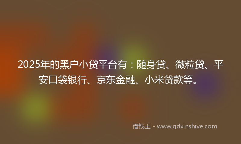 2025年的黑户小贷平台有：随身贷、微粒贷、平安口袋银行、京东金融、小米贷款等。