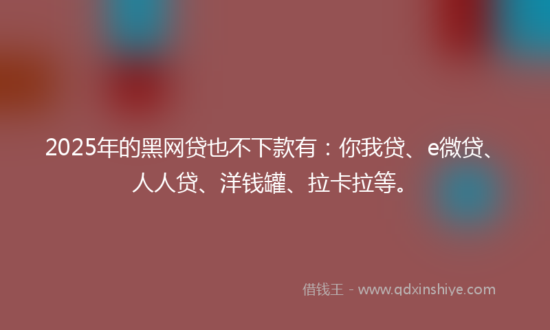 2025年的黑网贷也不下款有：你我贷、e微贷、人人贷、洋钱罐、拉卡拉等。