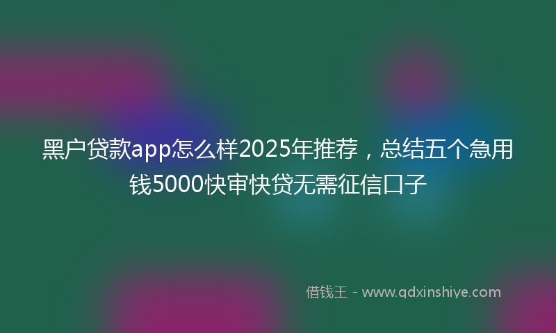 黑户贷款app怎么样2025年推荐，总结五个急用钱5000快审快贷无需征信口子