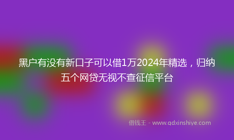 黑户有没有新口子可以借1万2024年精选，归纳五个网贷无视不查征信平台