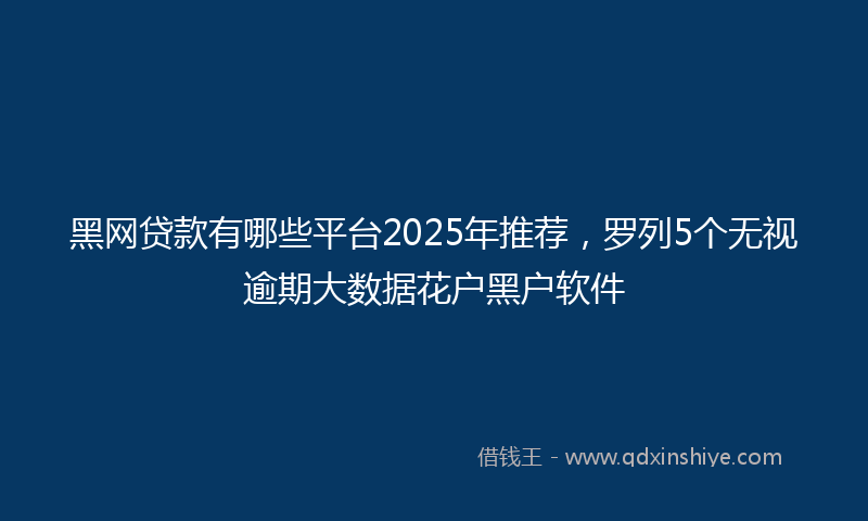 黑网贷款有哪些平台2025年推荐，罗列5个无视逾期大数据花户黑户软件