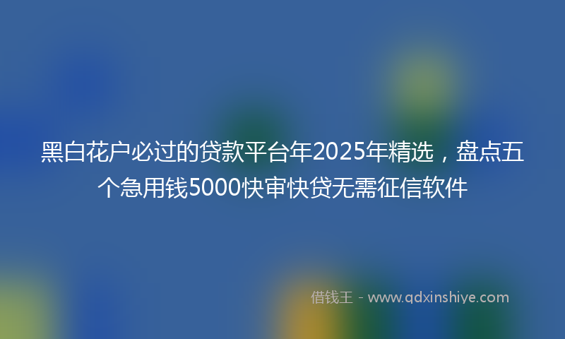 黑白花户必过的贷款平台年2025年精选，盘点五个急用钱5000快审快贷无需征信软件