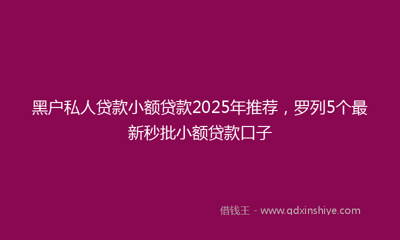 黑户私人贷款小额贷款2025年推荐，罗列5个最新秒批小额贷款口子