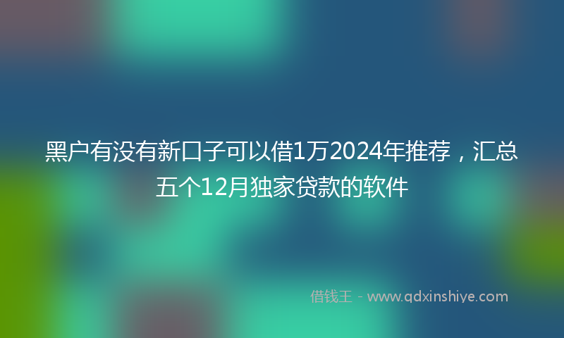 黑户有没有新口子可以借1万2024年推荐，汇总五个12月独家贷款的软件