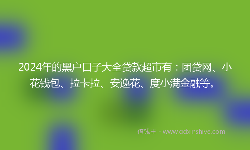 2024年的黑户口子大全贷款超市有：团贷网、小花钱包、拉卡拉、安逸花、度小满金融等。