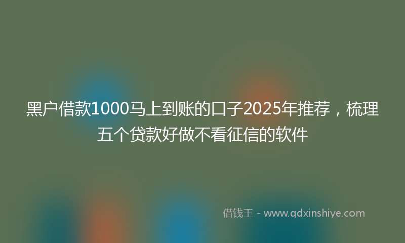 黑户借款1000马上到账的口子2025年推荐，梳理五个贷款好做不看征信的软件