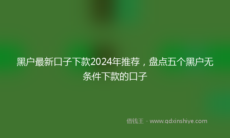 黑户最新口子下款2024年推荐，盘点五个黑户无条件下款的口子