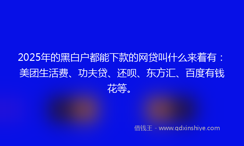 2025年的黑白户都能下款的网贷叫什么来着有：美团生活费、功夫贷、还呗、东方汇、百度有钱花等。