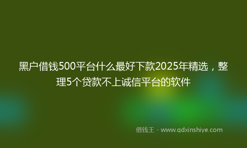 黑户借钱500平台什么最好下款2025年精选，整理5个贷款不上诚信平台的软件