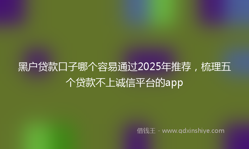 黑户贷款口子哪个容易通过2025年推荐，梳理五个贷款不上诚信平台的app