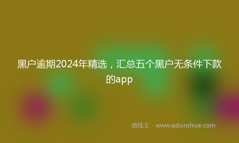 黑户逾期2024年精选，汇总五个黑户无条件下款的app