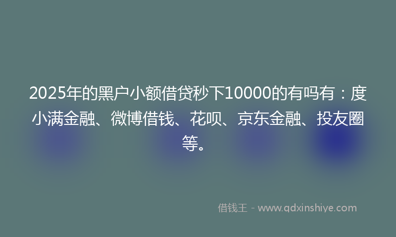 2025年的黑户小额借贷秒下10000的有吗有：度小满金融、微博借钱、花呗、京东金融、投友圈等。