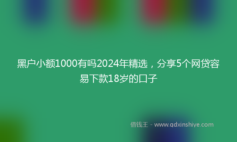 黑户小额1000有吗2024年精选，分享5个网贷容易下款18岁的口子