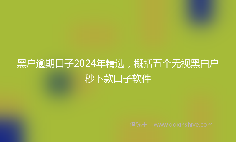 黑户逾期口子2024年精选，概括五个无视黑白户秒下款口子软件