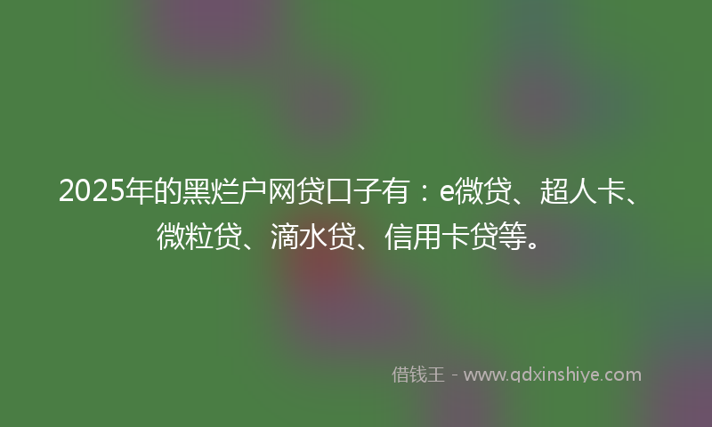 2025年的黑烂户网贷口子有：e微贷、超人卡、微粒贷、滴水贷、信用卡贷等。