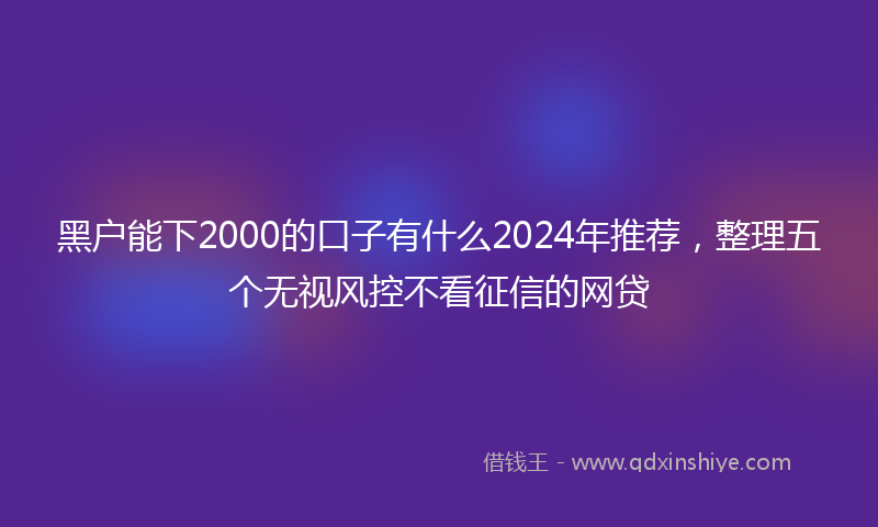 黑户能下2000的口子有什么2024年推荐，整理五个无视风控不看征信的网贷