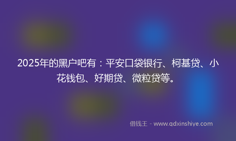 2025年的黑户吧有：平安口袋银行、柯基贷、小花钱包、好期贷、微粒贷等。