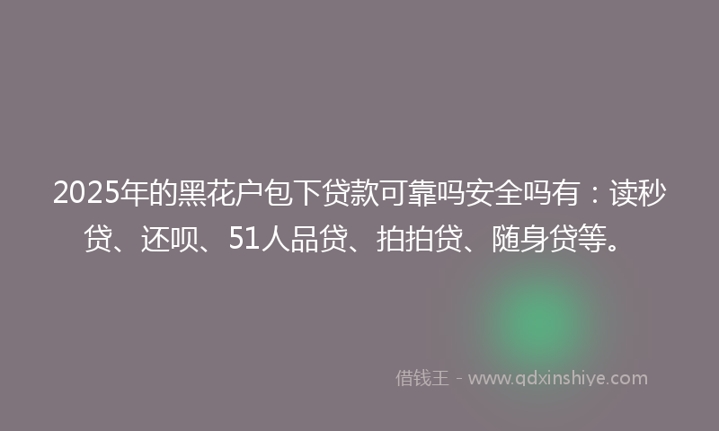 2025年的黑花户包下贷款可靠吗安全吗有：读秒贷、还呗、51人品贷、拍拍贷、随身贷等。