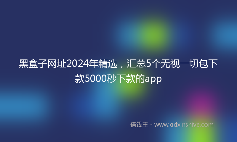黑盒子网址2024年精选，汇总5个无视一切包下款5000秒下款的app