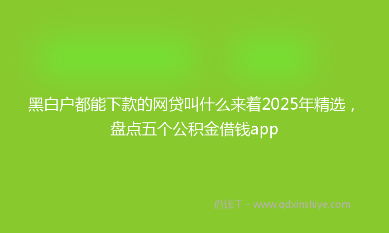 黑白户都能下款的网贷叫什么来着2025年精选，盘点五个公积金借钱app