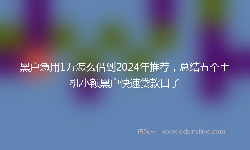 黑户急用1万怎么借到2024年推荐，总结五个手机小额黑户快速贷款口子