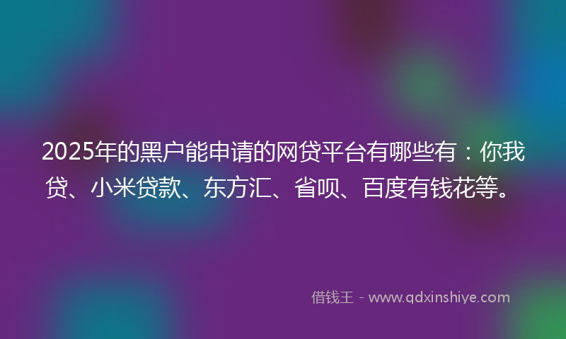 2025年的黑户能申请的网贷平台有哪些有：你我贷、小米贷款、东方汇、省呗、百度有钱花等。