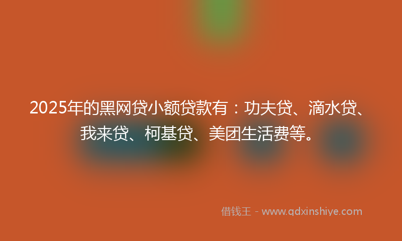 2025年的黑网贷小额贷款有：功夫贷、滴水贷、我来贷、柯基贷、美团生活费等。