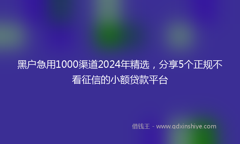 黑户急用1000渠道2024年精选，分享5个正规不看征信的小额贷款平台