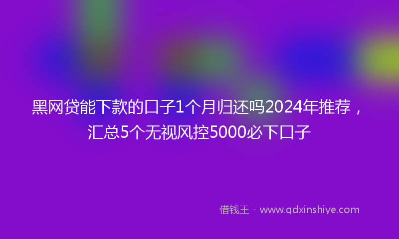 黑网贷能下款的口子1个月归还吗2024年推荐，汇总5个无视风控5000必下口子