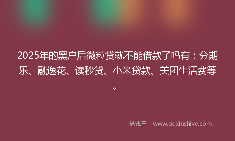 2025年的黑户后微粒贷就不能借款了吗有：分期乐、融逸花、读秒贷、小米贷款、美团生活费等。