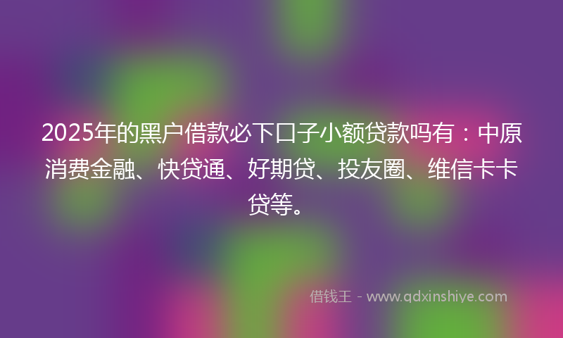 2025年的黑户借款必下口子小额贷款吗有：中原消费金融、快贷通、好期贷、投友圈、维信卡卡贷等。