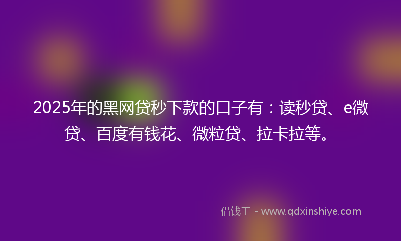 2025年的黑网贷秒下款的口子有：读秒贷、e微贷、百度有钱花、微粒贷、拉卡拉等。
