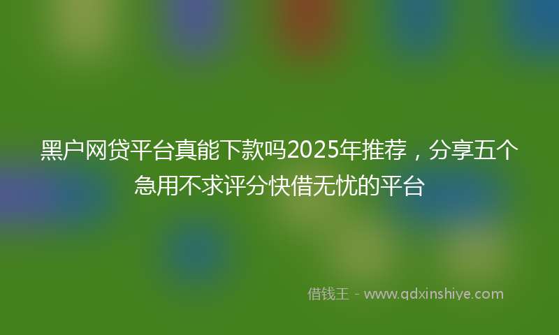 黑户网贷平台真能下款吗2025年推荐，分享五个急用不求评分快借无忧的平台