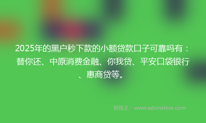 2025年的黑户秒下款的小额贷款口子可靠吗有：替你还、中原消费金融、你我贷、平安口袋银行、惠商贷等。