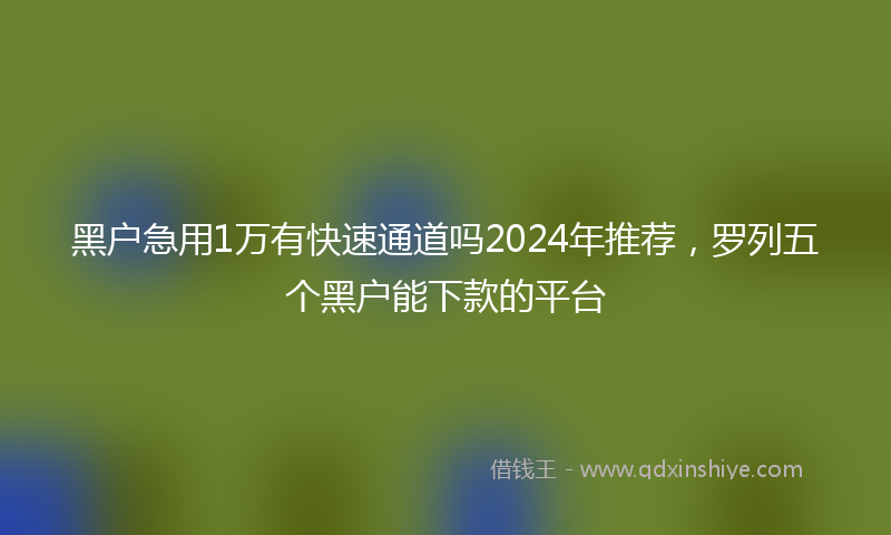 黑户急用1万有快速通道吗2024年推荐，罗列五个黑户能下款的平台